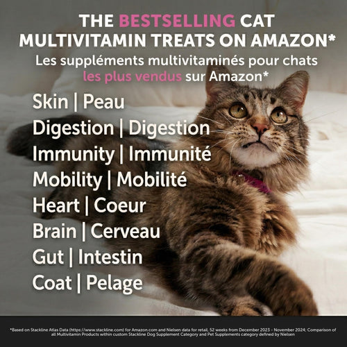 Cat Multivitamin Chews